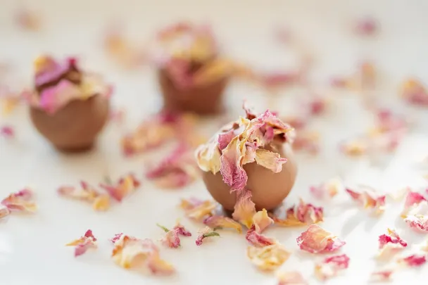 カジノ ジェネレーション ヴィーアイピー Android/iOS アプリ